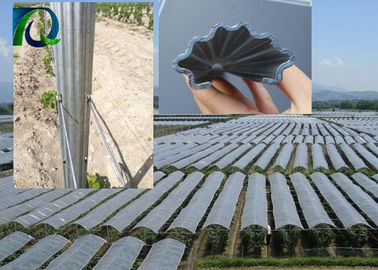 Vine Plants 50mm × 30mm Vineyard Grape Stake Hot Dipped Galvanized