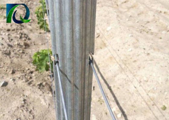 1.5mm 2.0mm 50x40mm het Latwerkposten van de Metaalwijngaard met h-Gaten