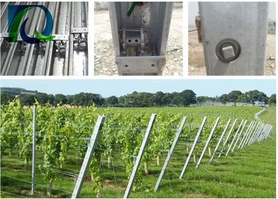 1.5mm 54X30MM de Post van het Druivenlatwerk met 2 Zijh-Gaten