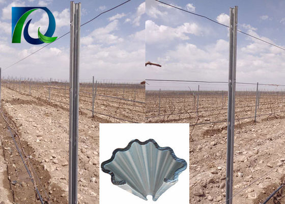 Posten van het de Wijngaardlatwerk van het C275g/m2 de Hete Gegalvaniseerde Metaal